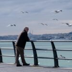 Immobilier de luxe Bassin d'Arcachon, villa haut de gamme Arcachon, achat vente bien immobilier Andernos, agence immobilière spécialisée Bassin d'Arcachon, maison contemporaine avec piscine, résidence secondaire bord de mer, investissement immobilier Arcachon, villa avec vue mer, propriété prestige Arcachon, maison de caractère Andernos, bien immobilier exceptionnel