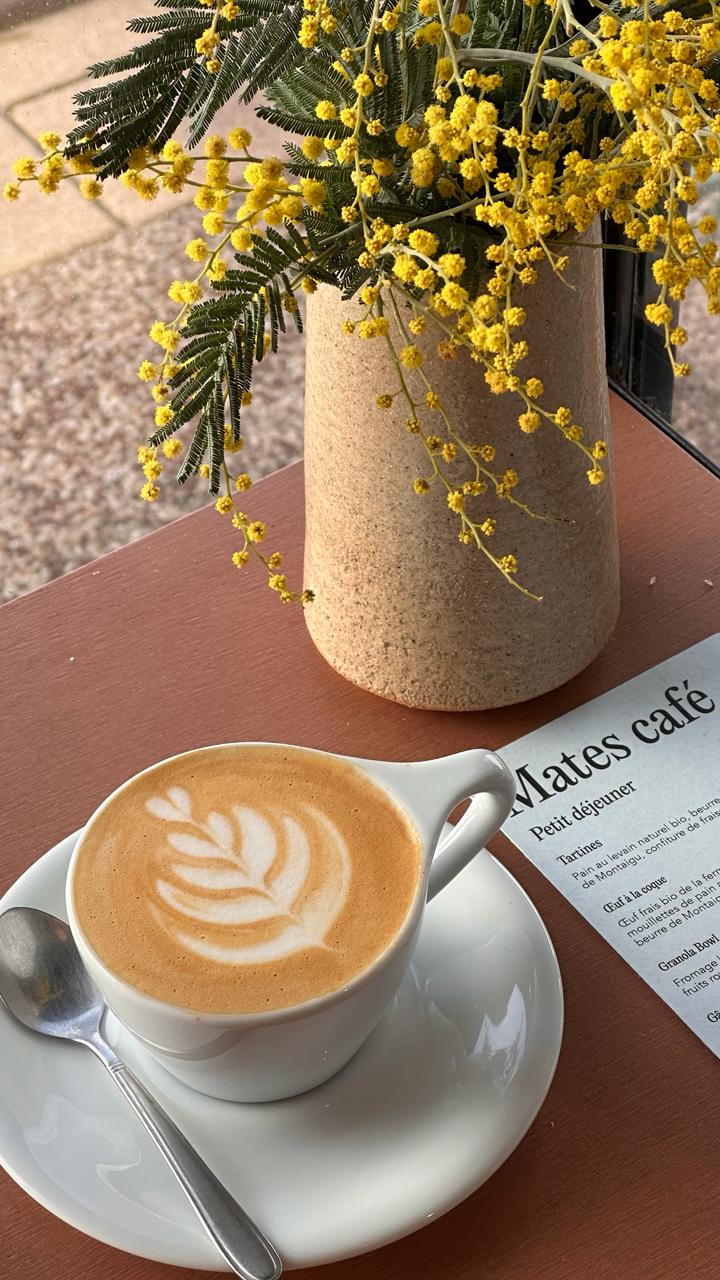 whatsapp image 2026 03 12 at 15.32.39